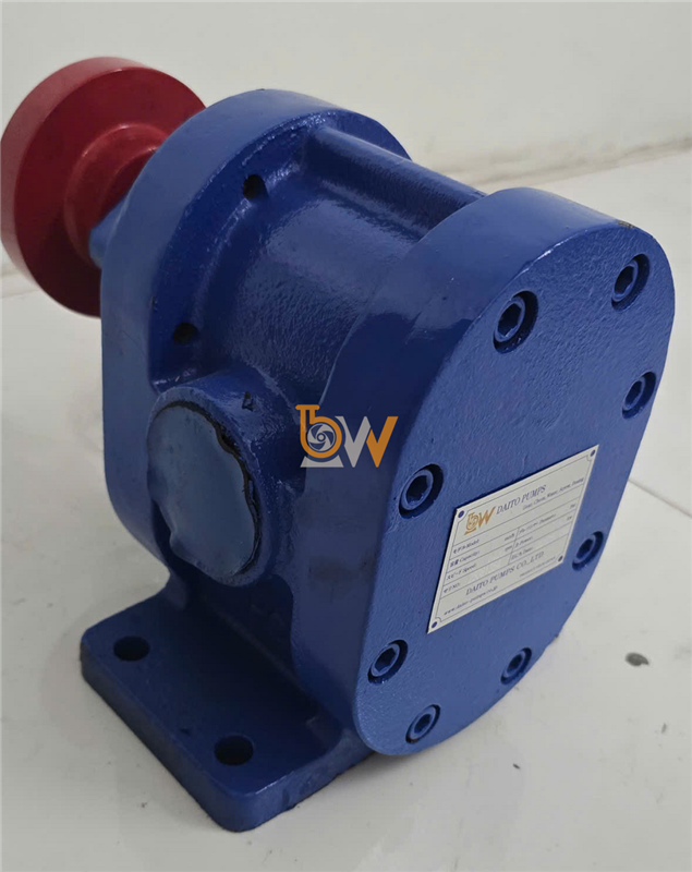 Đầu bơm bánh răng ăn khớp ngoài 2CY7.5-2.5 MS 7.5m3/h, 7.5kw-4