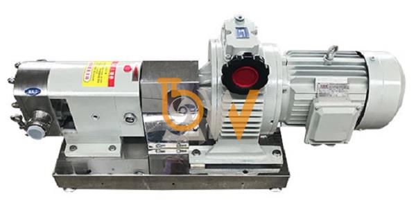 Máy bơm bông mai 3RP-2 áp suất 0.6 MPa đường kính kết nối DN15 công suất 0.55 kW